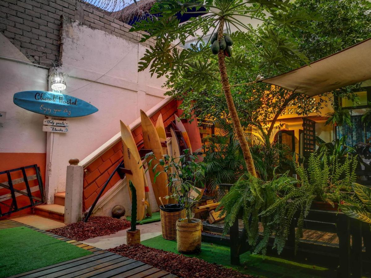 Hostel Chaak Puerto Escondido  Zewnętrze zdjęcie