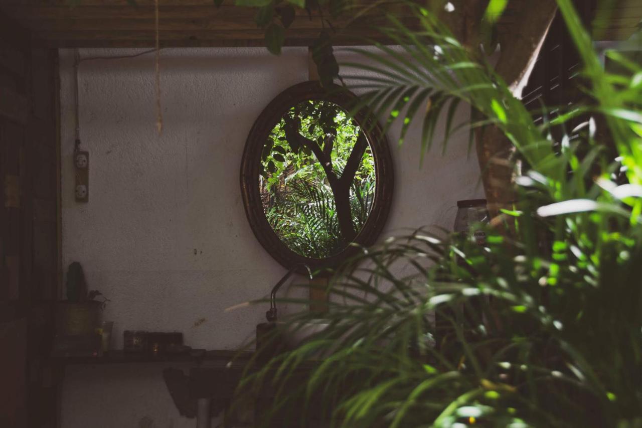 Hostel Chaak Puerto Escondido  Zewnętrze zdjęcie