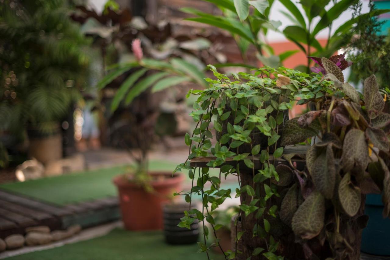 Hostel Chaak Puerto Escondido  Zewnętrze zdjęcie