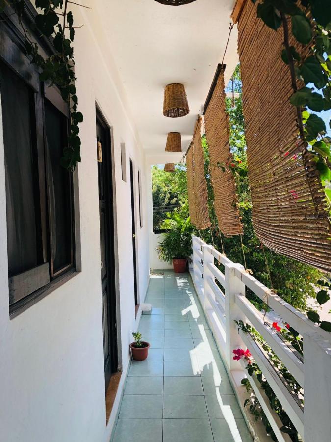 Hostel Chaak Puerto Escondido  Zewnętrze zdjęcie