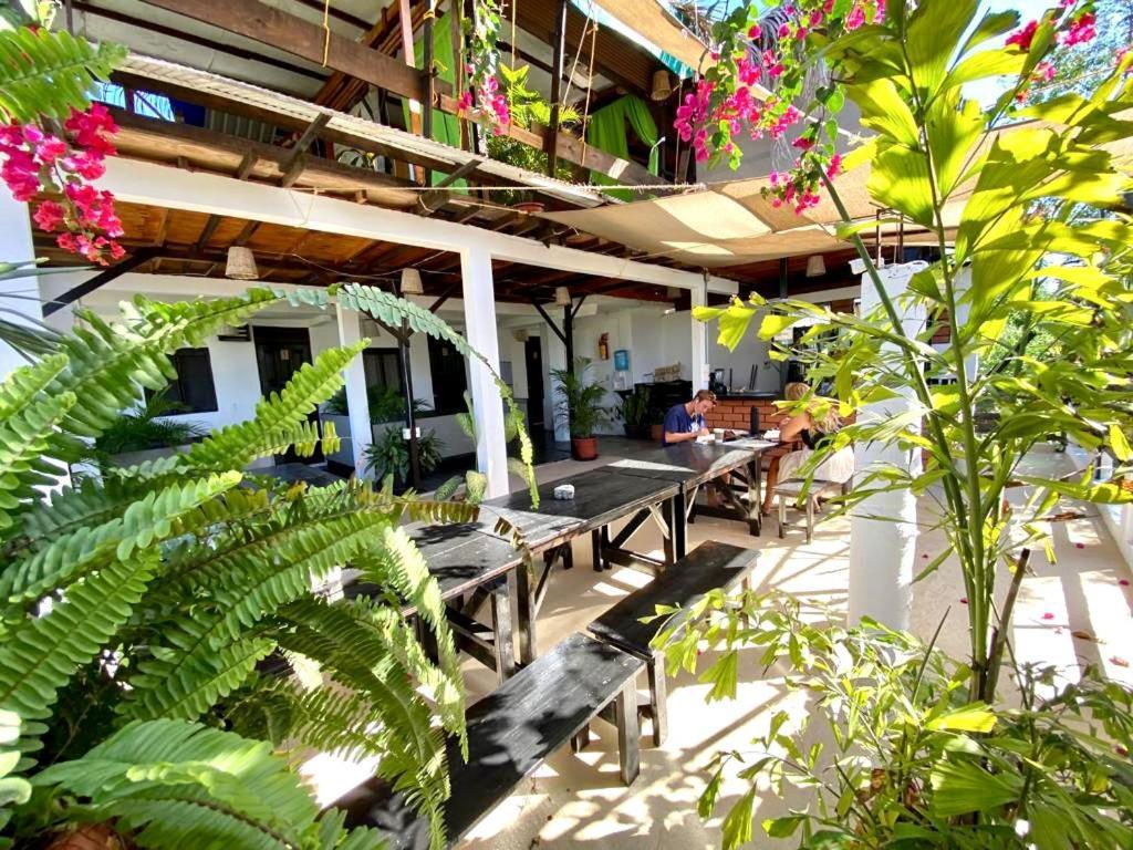 Hostel Chaak Puerto Escondido  Zewnętrze zdjęcie